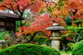 Japan house historic red maple and bonsai park Royalty Free Stock Photo